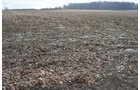 Property photo 83 - 98+/- Acres Offered in 6 Tracts or Combinations, Noble County, Indiana Farm
